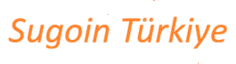 turkiye.sugoin.com